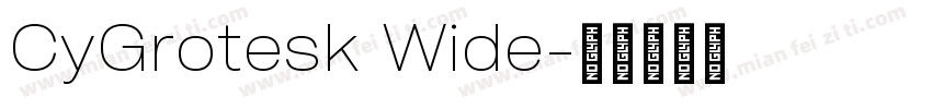 CyGrotesk Wide字体转换